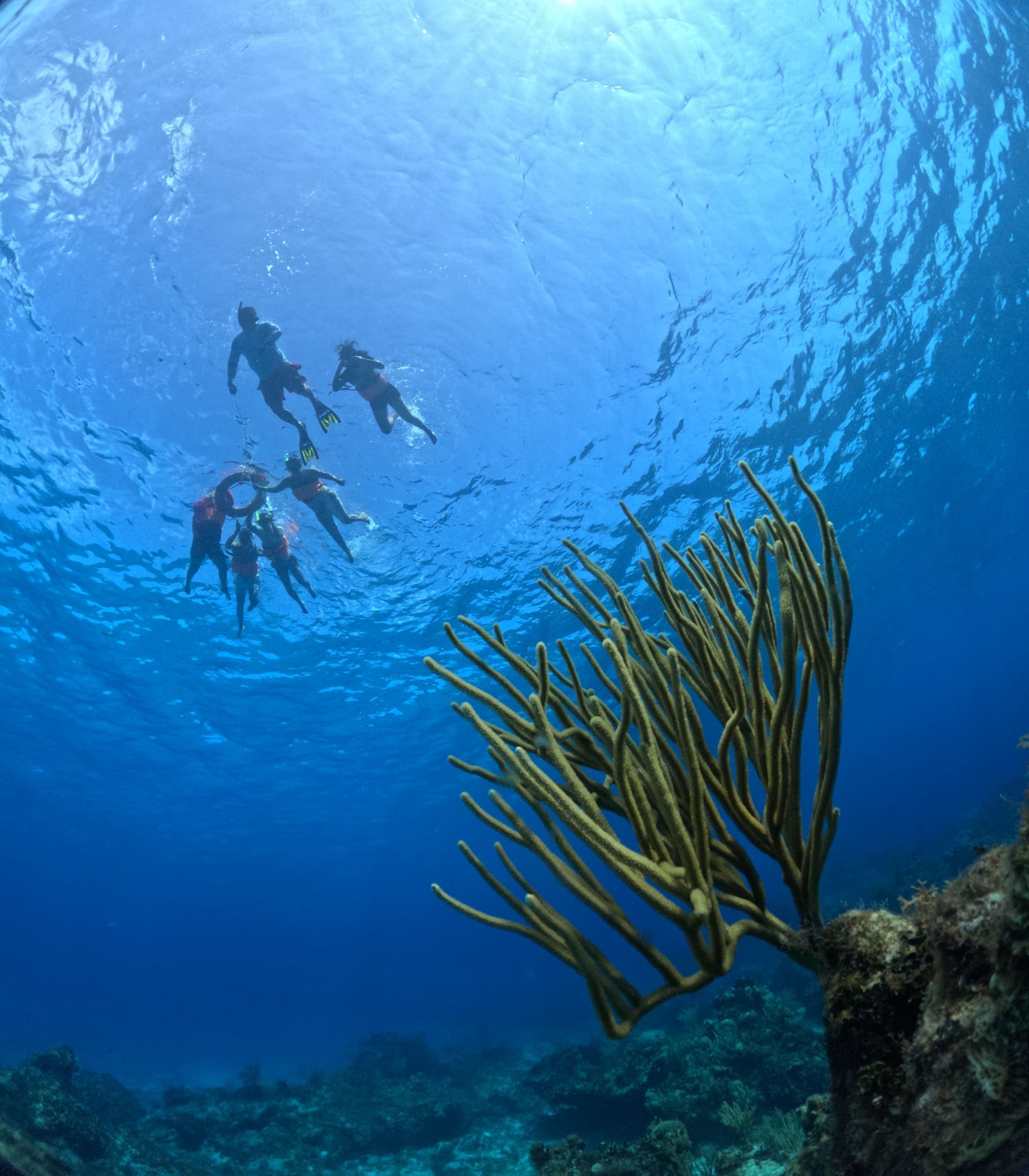Cozumel photo 6