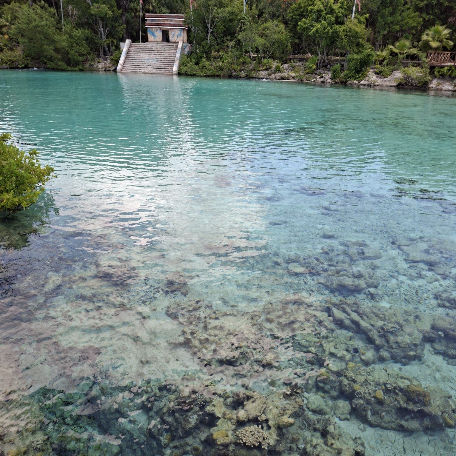 Cozumel photo 2